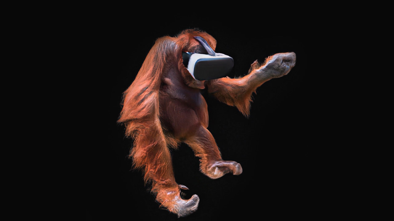 Still from Orangutan VR VJ pack.